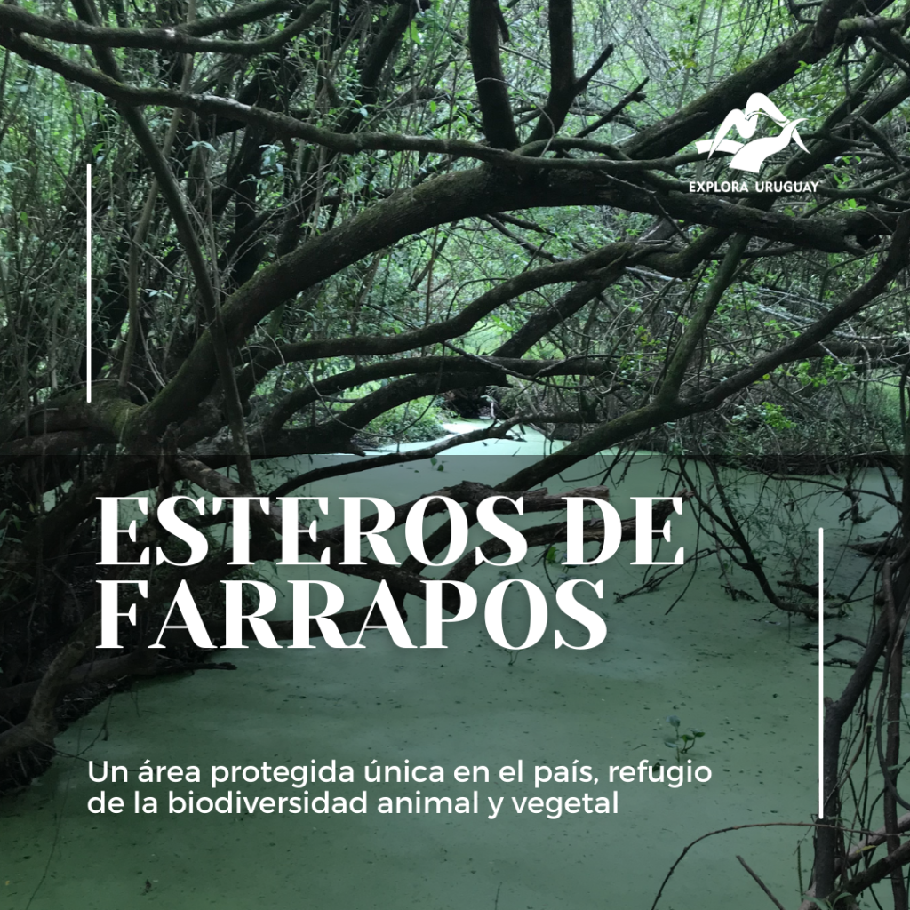 Parque Nacional Esteros de Farrapos – Uruguay